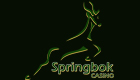 springbok logo